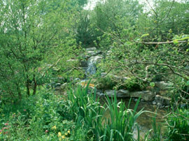 Chelsea Flower Show Garden