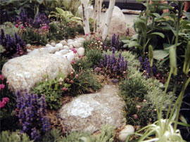 Domestic Garden