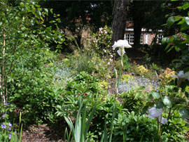 Hotel Garden