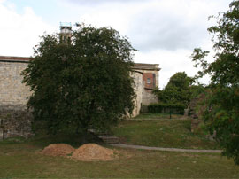 Castle Museum