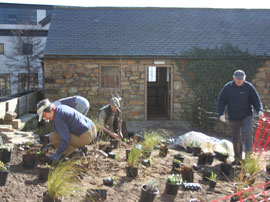 Planting at York Castle Riverside Park