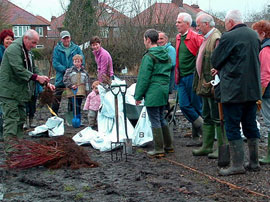 Demonstrating planting with a community group